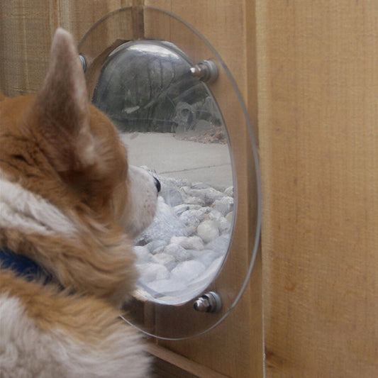 Dog Fence Bubble Window with Mounting Screws by HitMyNeed