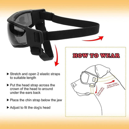 Dog Goggles with UV, Wind & Snow Protection by HitMyNeed