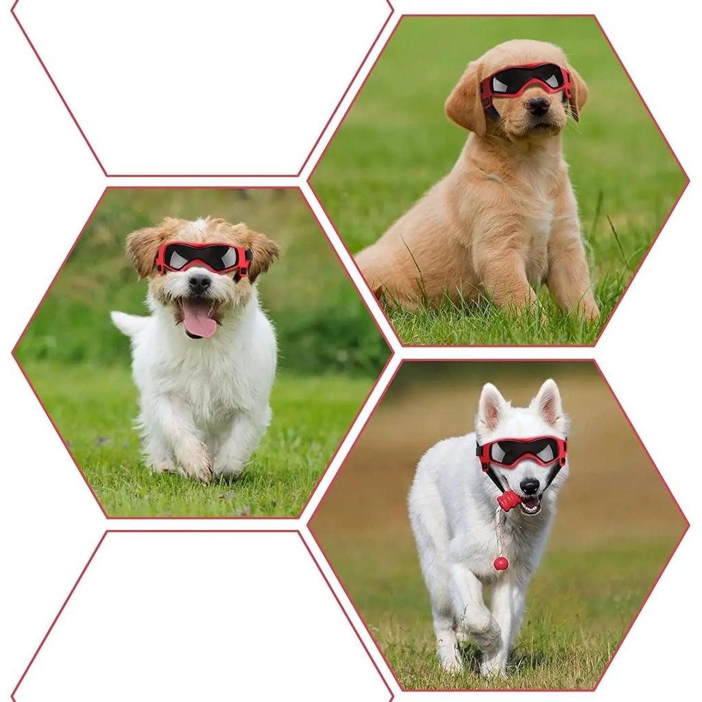 Dog Goggles with UV, Wind & Snow Protection by HitMyNeed