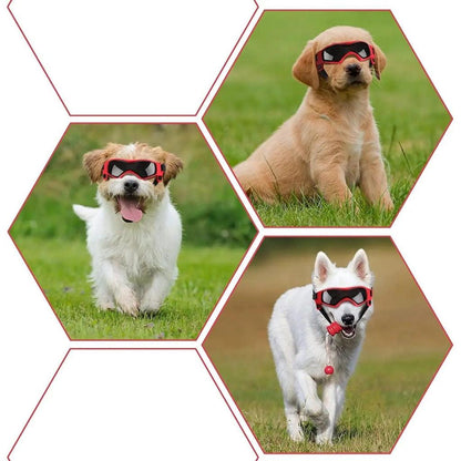 Dog Goggles with UV, Wind & Snow Protection by HitMyNeed
