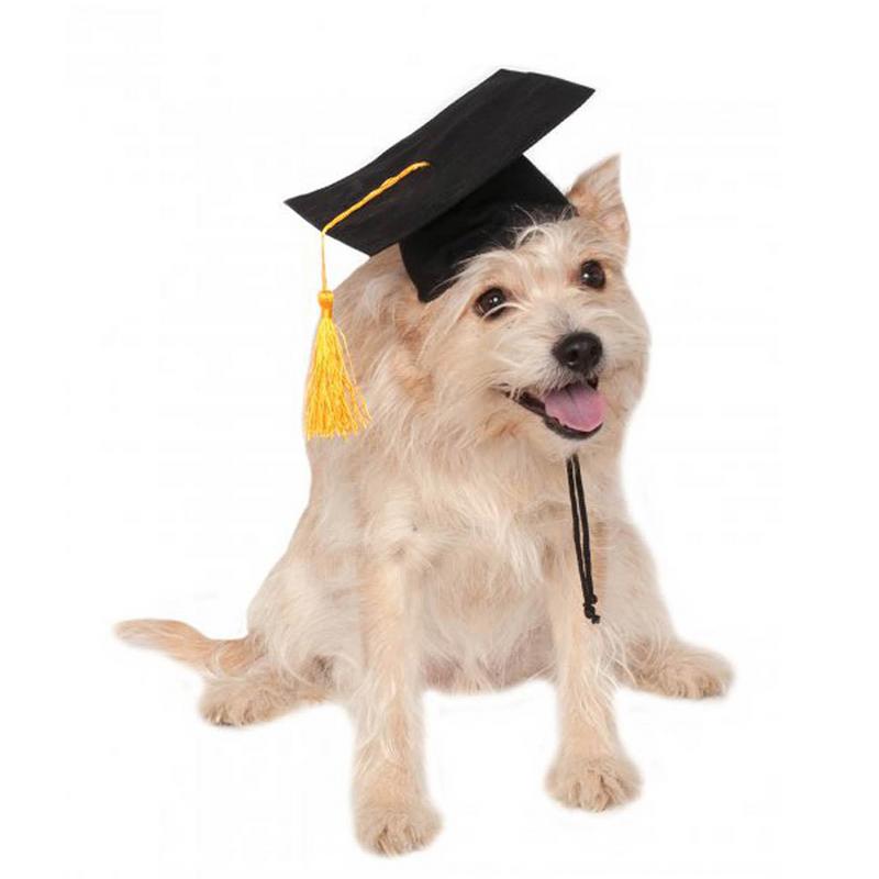 Dog Graduation Cap Pet Costume with Adjustable Strap by HitMyNeed