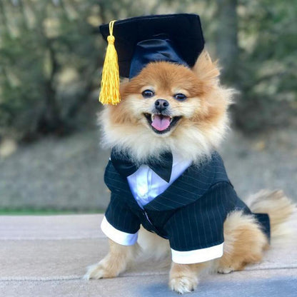 Dog Graduation Cap Pet Costume with Adjustable Strap by HitMyNeed