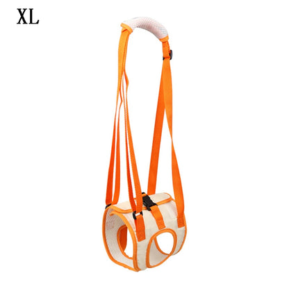 Dog Hind Leg Support & Recovery Walking Harness by HitMyNeed