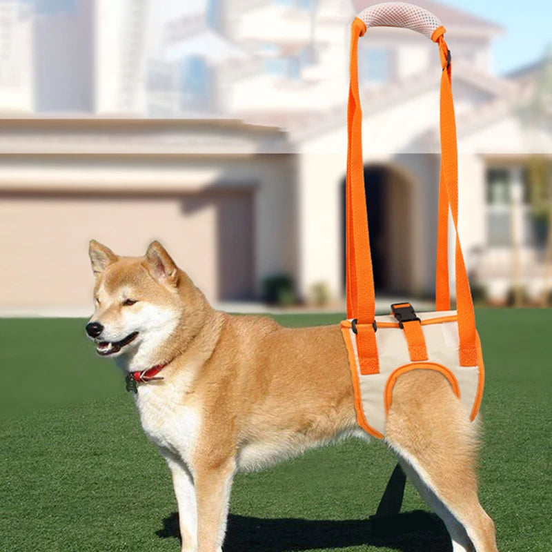 Dog Hind Leg Support & Recovery Walking Harness l by HitMyNeed