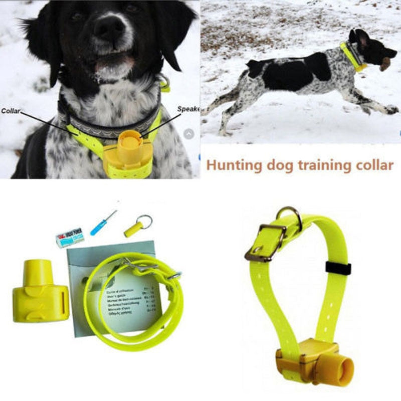 Dog Hunting Collar with Built-in Beeper Locator by HitMyNeed