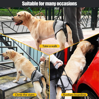 Dog Lift Harness for Large Dogs Rear Leg Support by HitMyNeed
