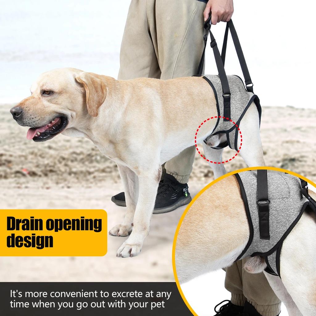 Dog Lift Harness for Large Dogs Rear Leg Support by HitMyNeed
