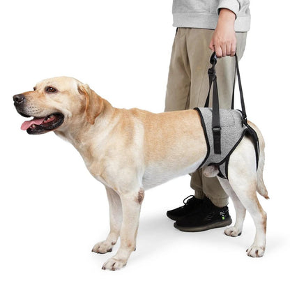 Dog Lift Harness for Large Dogs Rear Leg Support s by HitMyNeed