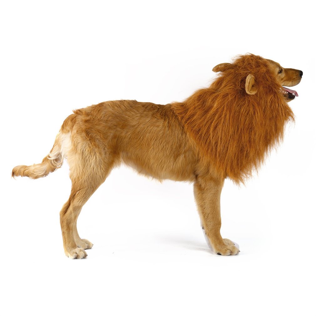 Dog Lion Mane Wig for Large Breeds by HitMyNeed