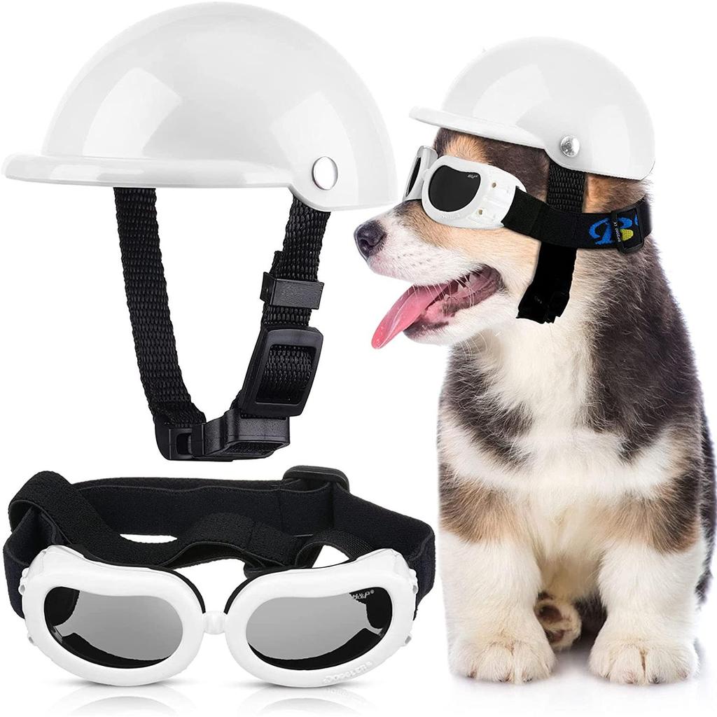 Dog Motorcycle Helmet and Goggles Safety Set helmet-and-glasses-w m by HitMyNeed