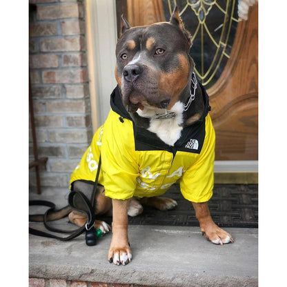 Dog Raincoat with Hood for Small to Large Dogs by HitMyNeed