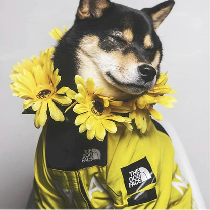 Dog Raincoat with Hood for Small to Large Dogs by HitMyNeed