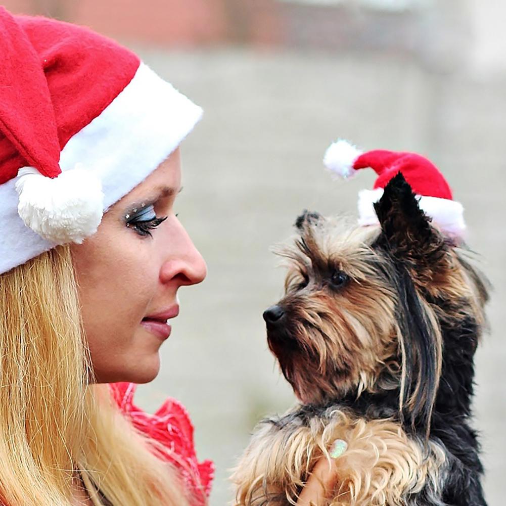 Dog Santa Hat Christmas Pet Headwear by HitMyNeed