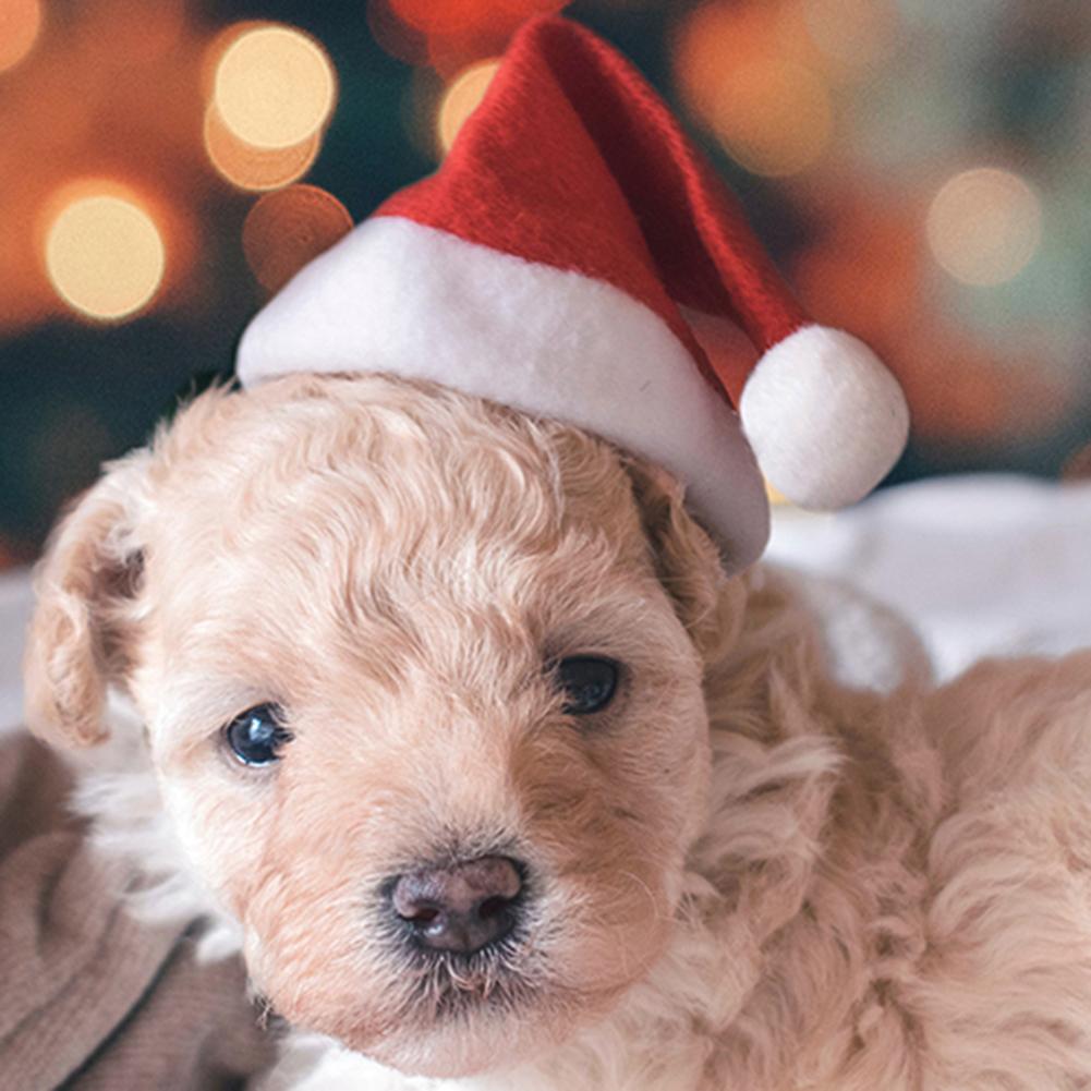 Dog Santa Hat Christmas Pet Headwear by HitMyNeed