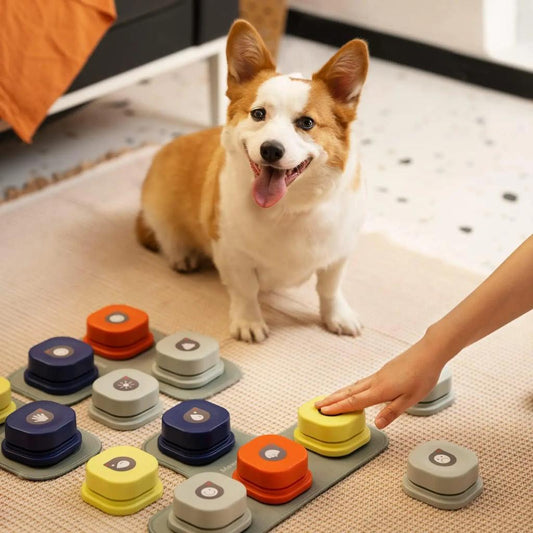 Dog Talking Buttons with Mat for Voice Training A - 2pcs by HitMyNeed