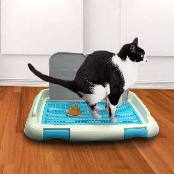 Dog Toilet Portable Plastic Tray with Column by HitMyNeed