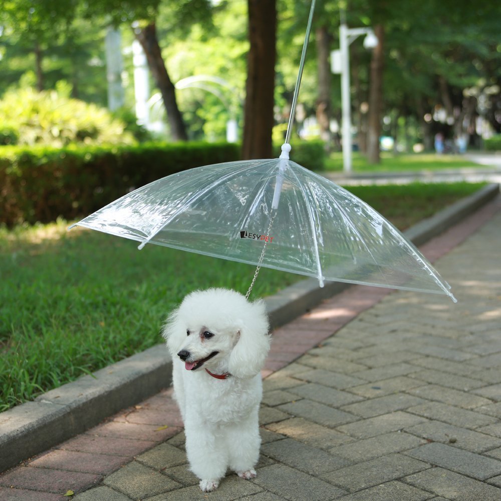 Dog Umbrella with Built-In Leash for Small Dogs by HitMyNeed
