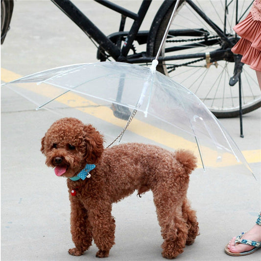 Dog Umbrella with Built-In Leash for Small Pets by HitMyNeed