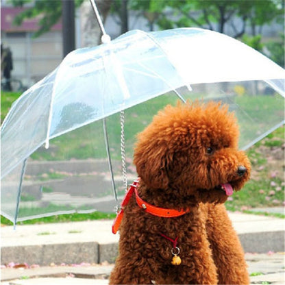 Dog Umbrella with Built-In Leash for Small Pets by HitMyNeed