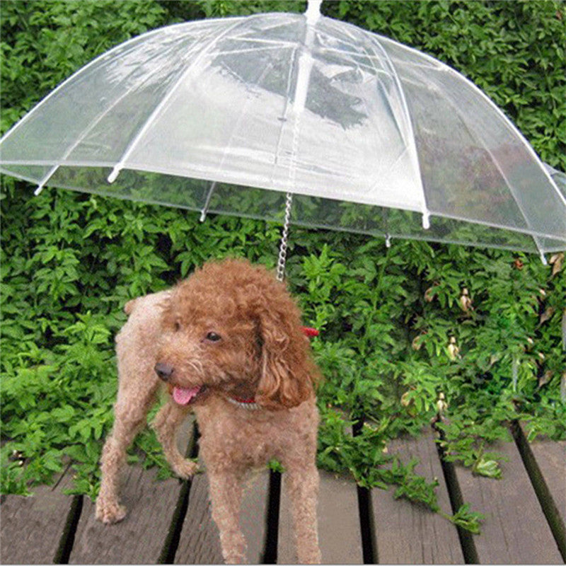 Dog Umbrella with Built-In Leash for Small Pets by HitMyNeed