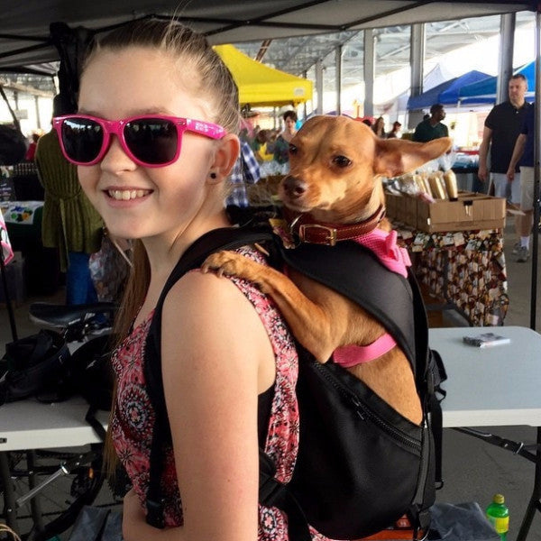 Doggy Pack Small Dog Carrier Backpack by HitMyNeed