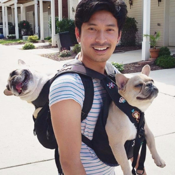 Doggy Pack Small Dog Carrier Backpack by HitMyNeed