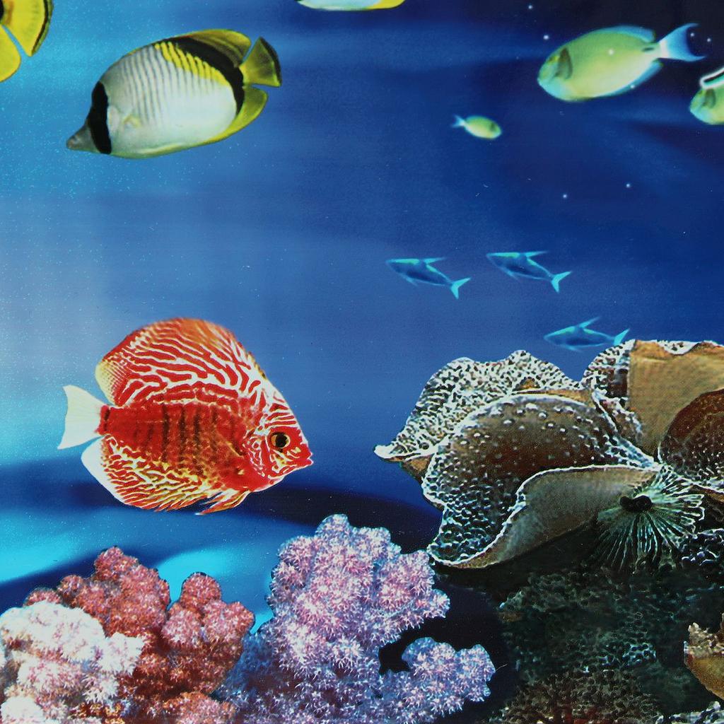 Double-Sided Aquarium Background Poster 30x60cm by HitMyNeed