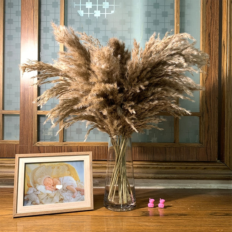 Dried Natural Pampas Grass Decor (10 Stems) by HitMyNeed