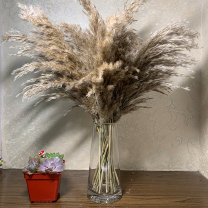 Dried Natural Pampas Grass Decor (10 Stems) by HitMyNeed