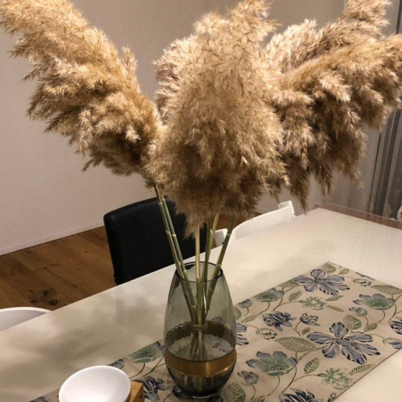 Dried Natural Pampas Grass Decor (10 Stems) by HitMyNeed