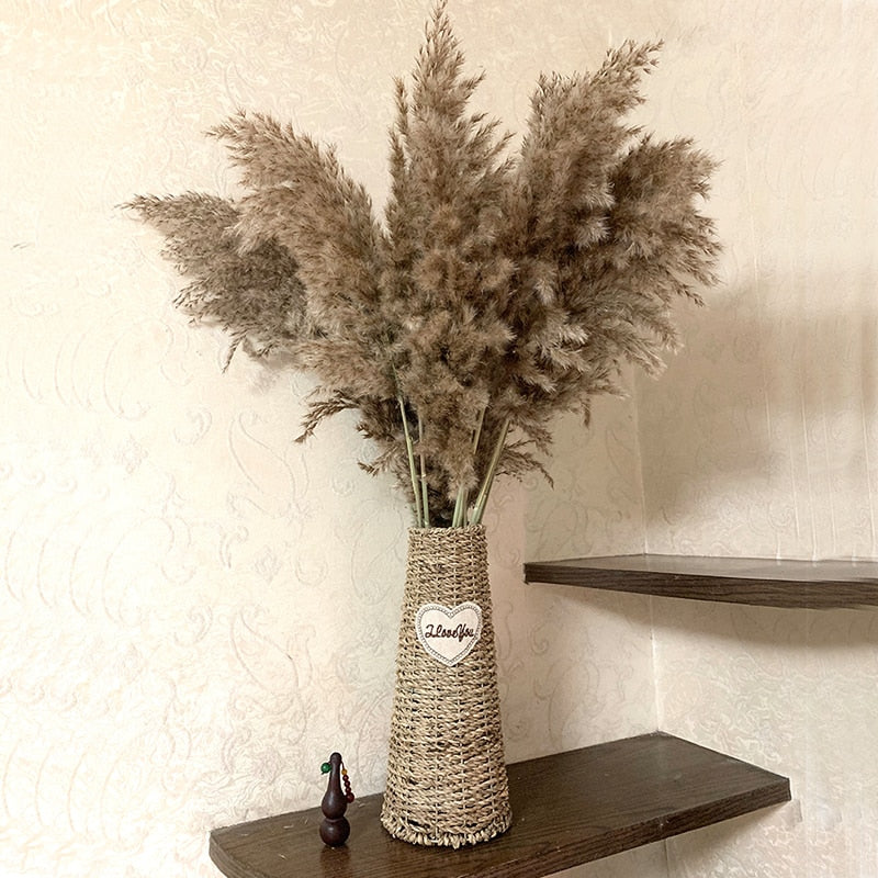 Dried Natural Pampas Grass Decor (10 Stems) by HitMyNeed