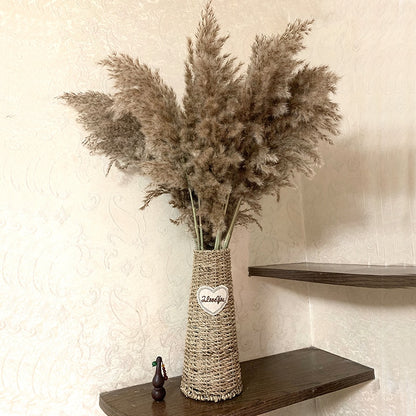 Dried Natural Pampas Grass Decor (10 Stems) by HitMyNeed