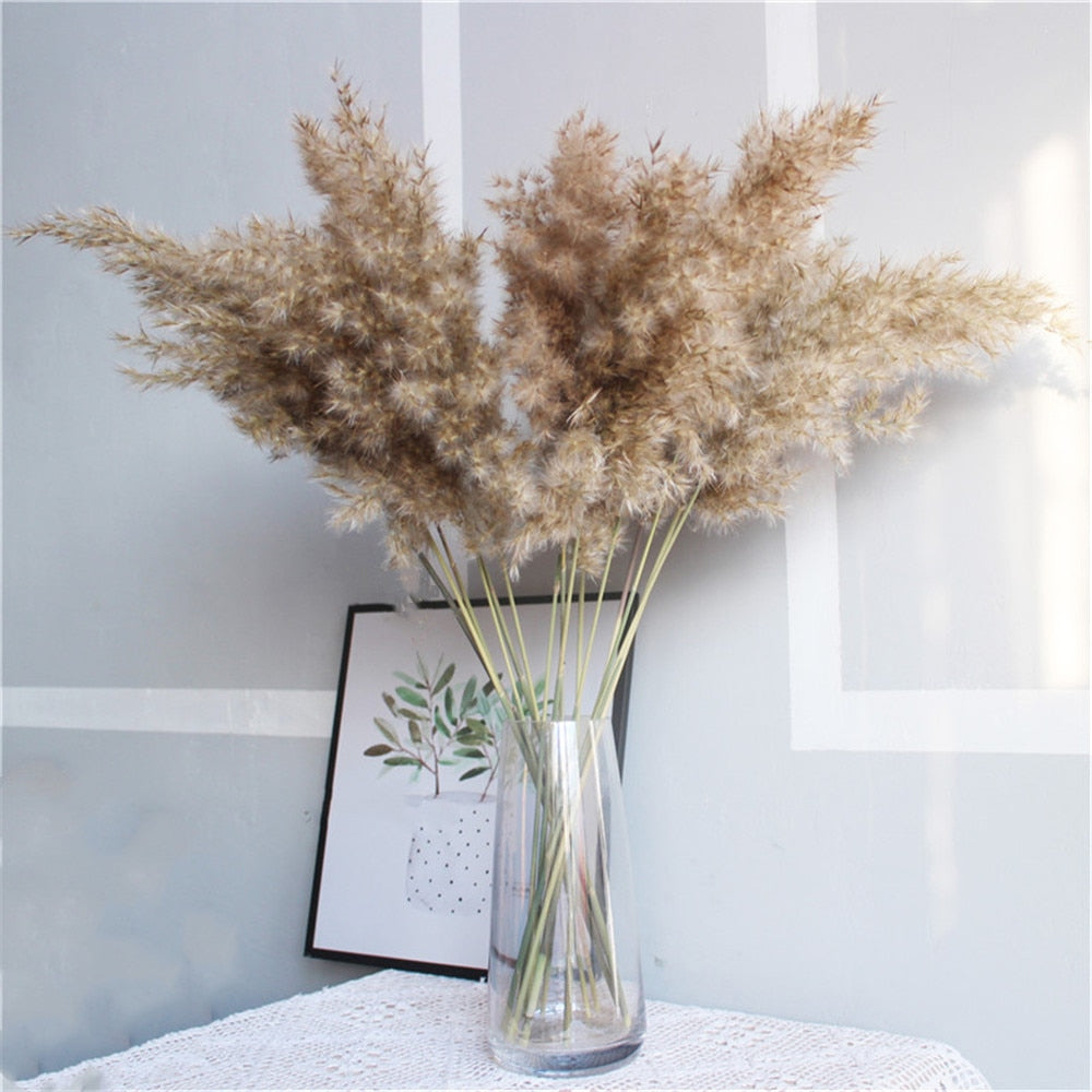 Dried Pampas Grass Rustic Décor (20 Stems, 55-60cm) by HitMyNeed