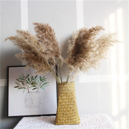 Dried Pampas Grass Rustic Décor (20 Stems, 55-60cm) by HitMyNeed