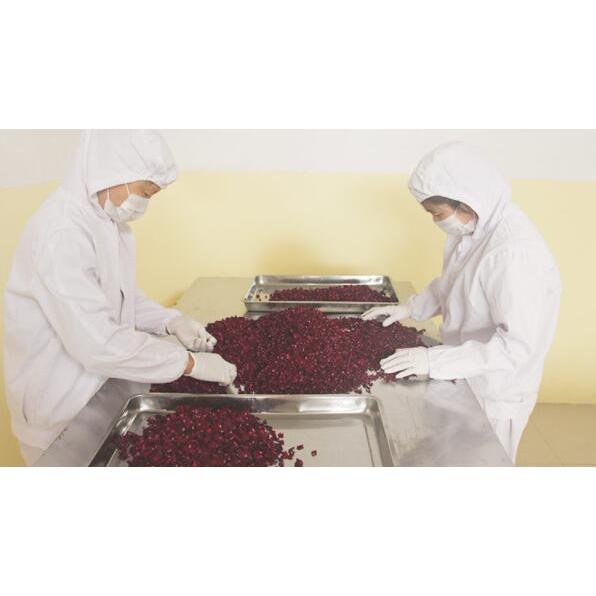Dried Red Rose Petals for Decor and Crafts 5g by HitMyNeed