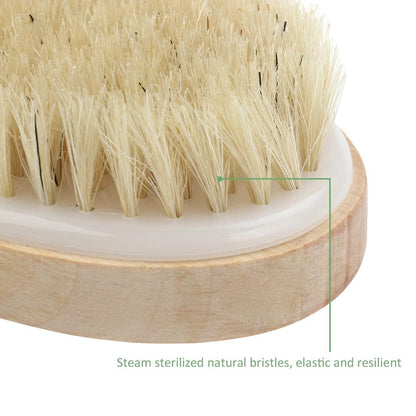 Dry Body Brush with Wooden Handle and Natural Bristles by HitMyNeed