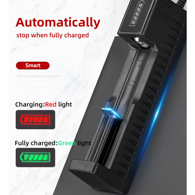 Dual 18650 Lithium Battery Charger 4.2V by HitMyNeed