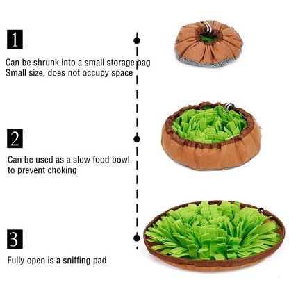 Dual Purpose Pet Snuffle Mat and Slow Feeder Bowl by HitMyNeed