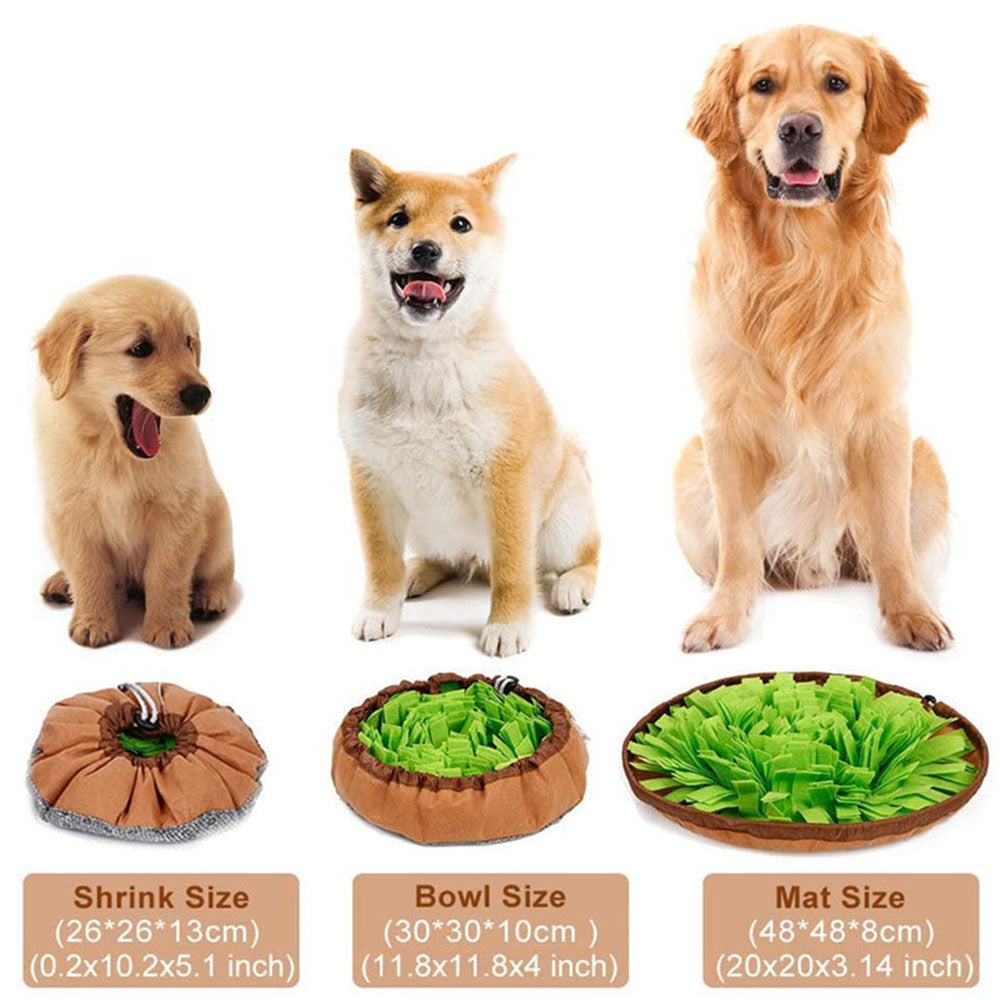 Dual Purpose Pet Snuffle Mat and Slow Feeder Bowl by HitMyNeed