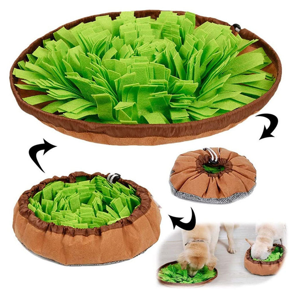 Dual Purpose Pet Snuffle Mat and Slow Feeder Bowl by HitMyNeed