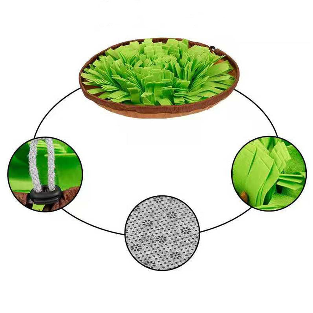 Dual Purpose Pet Snuffle Mat and Slow Feeder Bowl by HitMyNeed