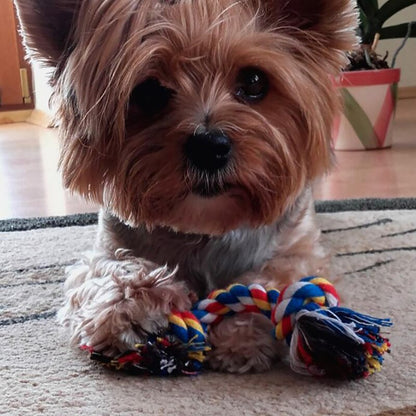 Durable Braided Rope Dog Chew Toy 17cm by HitMyNeed
