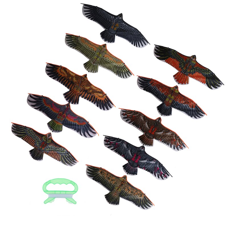 Eagle Kite Outdoor Flying Toy with 30m Line by HitMyNeed