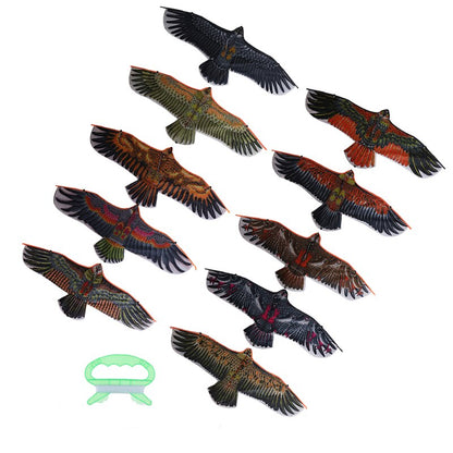 Eagle Kite Outdoor Flying Toy with 30m Line by HitMyNeed