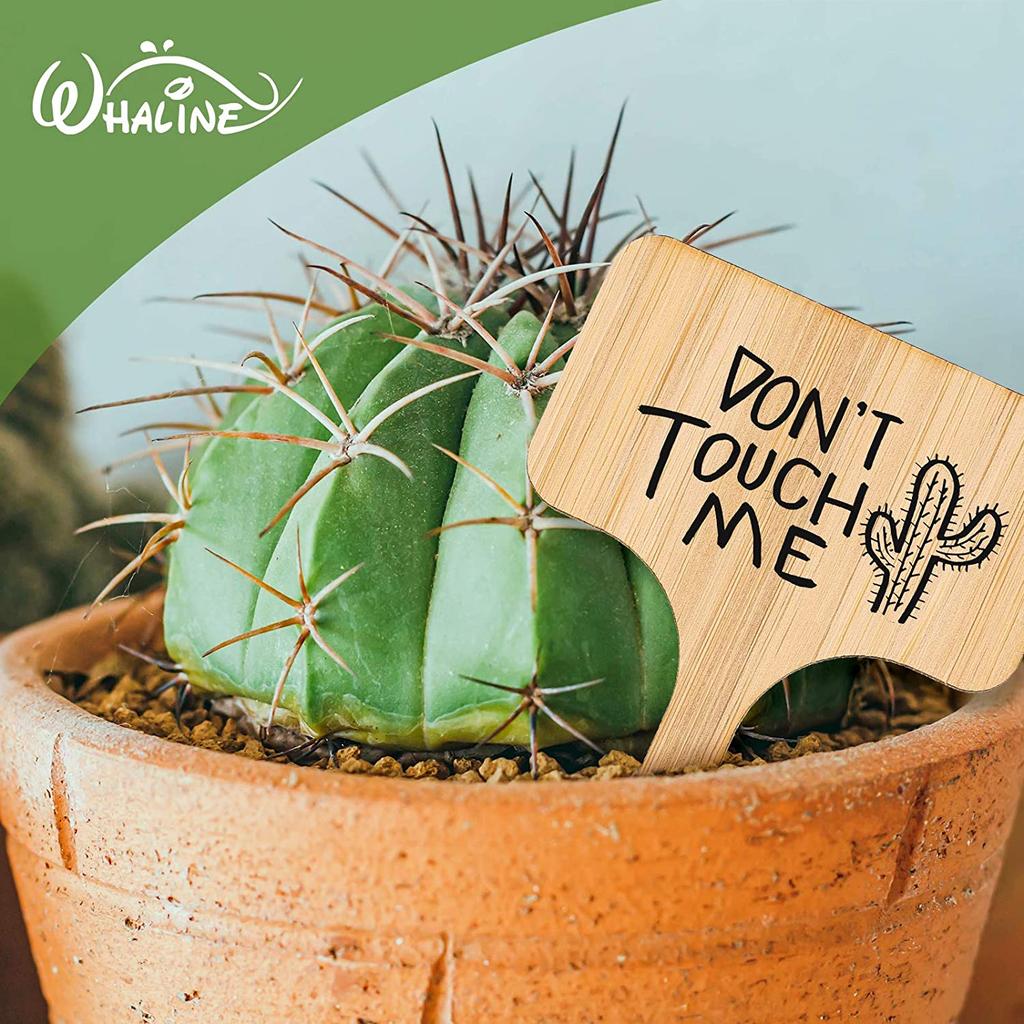 Eco Friendly Bamboo Plant Labels with Marker, 20pcs by HitMyNeed