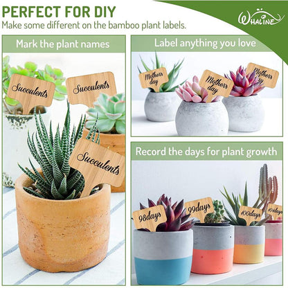 Eco Friendly Bamboo Plant Labels with Marker, 20pcs by HitMyNeed