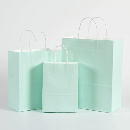 Eco Friendly Kraft Gift Bags Set of 5 mint 16x22x8cm by HitMyNeed