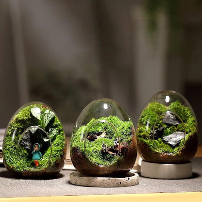 Egg-Shaped Glass Terrarium Vase for Succulents by HitMyNeed