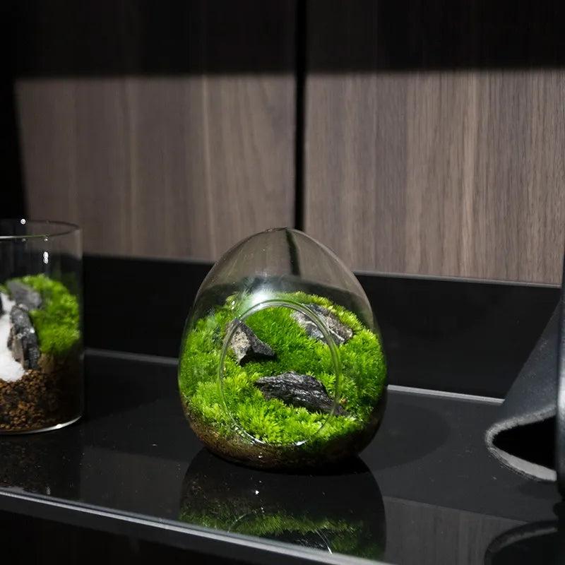 Egg-Shaped Glass Terrarium Vase for Succulents by HitMyNeed