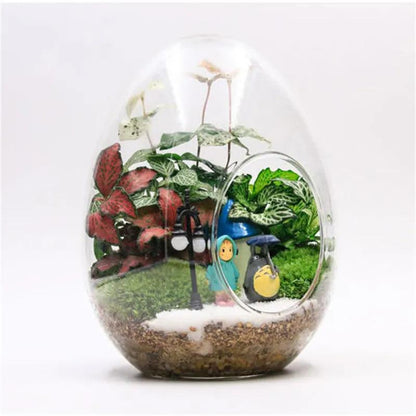 Egg-Shaped Glass Terrarium Vase for Succulents by HitMyNeed